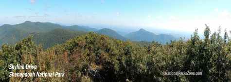 Picture of the Blue Ridge Mountains from Skyline Drive in Shenandoah National Park