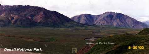 Picture of a beautiful valley and mountains in Denali National Park