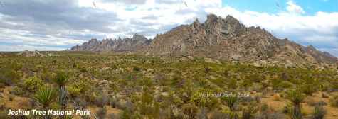 Picture of mountains in Joshua Tree National Park